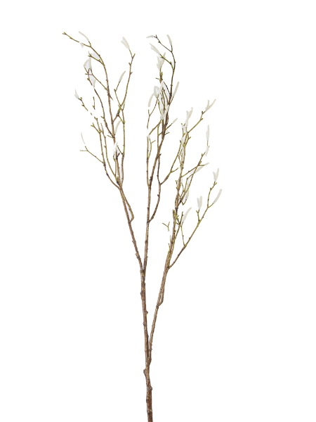 Picture of 40" BIRCH BUD SPRAY