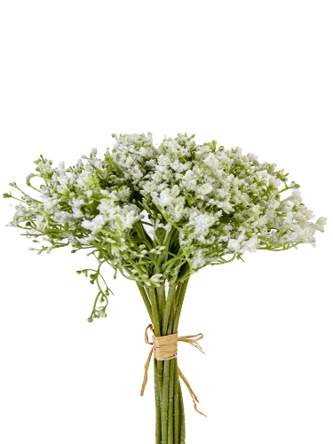 Picture of 12" GYPSOPHELIA  BUNDLE