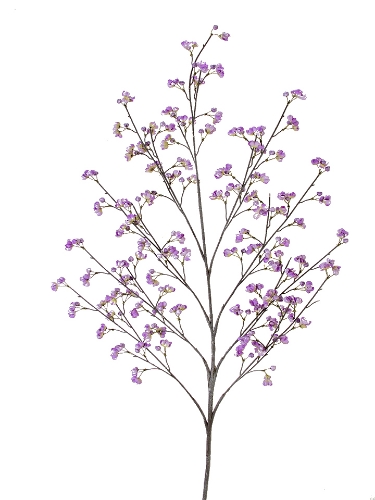 Picture of 52" BOUVARDIA SPRAY