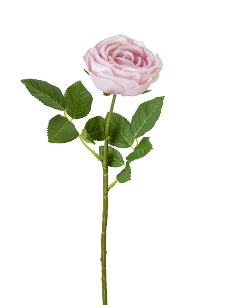 Picture of 23" REAL TOUCH VINTAGE ROSE BUNDLE