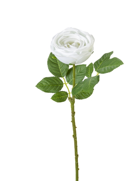 Picture of 23" REAL TOUCH VINTAGE ROSE BUNDLE