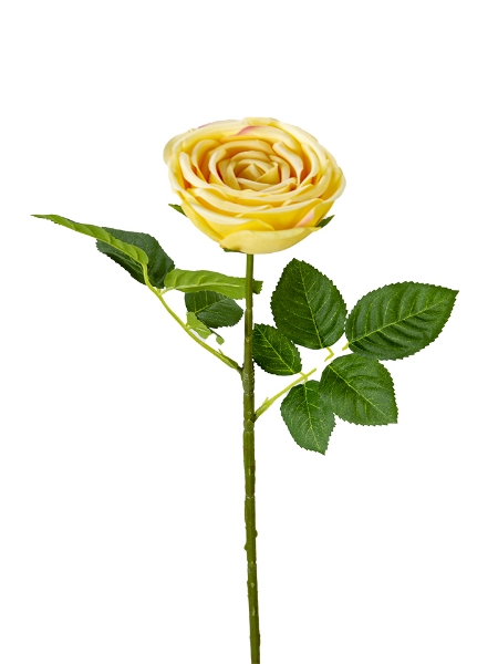 Picture of 23" REAL TOUCH VINTAGE ROSE BUNDLE