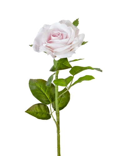 Picture of 28" REAL TOUCH  ROSE STEM