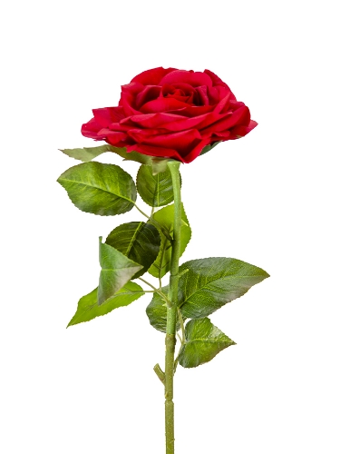 Picture of 28" REAL TOUCH  ROSE STEM