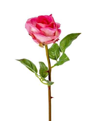 Picture of 24" UV PROTECTED ROSE STEM