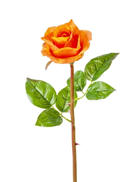 Picture of 24" UV PROTECTED ROSE STEM
