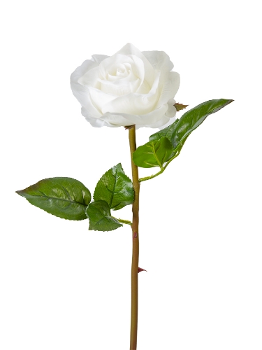 Picture of 24" UV PROTECTED ROSE STEM