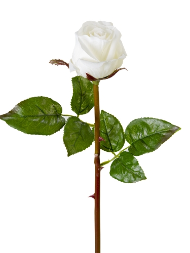 Picture of 23" UV PROTECED ROSE BUD STEM