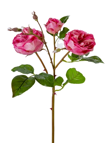 Picture of 24" UV PROTECTED CABBAGE ROSE