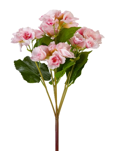 Picture of 17" UV PROTECTED BEGONIA BUSH