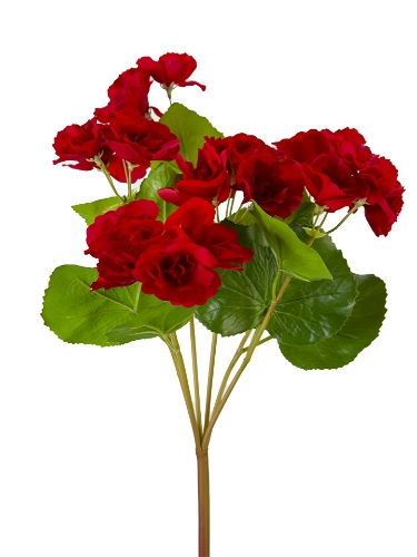 Picture of 17" UV PROTECTED BEGONIA BUSH