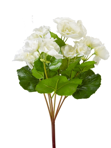 Picture of 17" UV PROTECTED BEGONIA BUSH