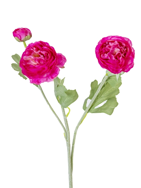 Picture of 19" RANUNCULUS SPRAY