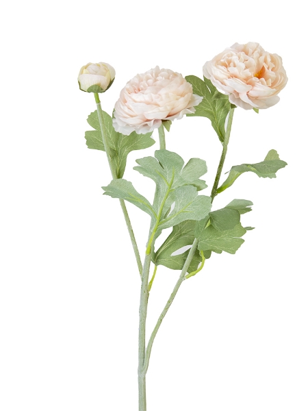 Picture of 19" RANUNCULUS SPRAY