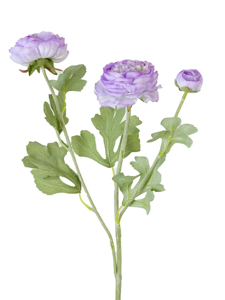 Picture of 19" RANUNCULUS SPRAY