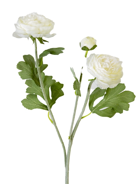Picture of 19" RANUNCULUS SPRAY