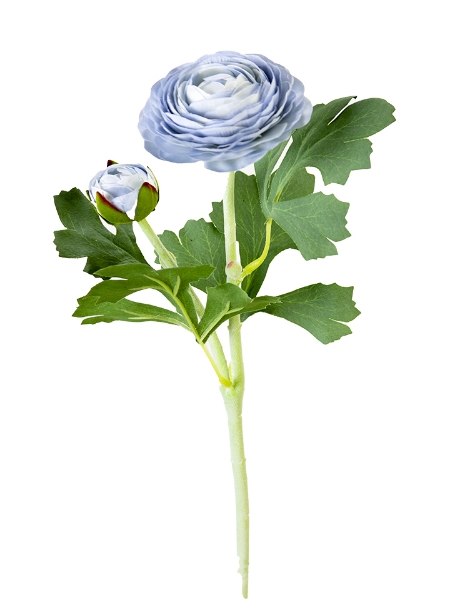 Picture of 19" RANUNCULUS SPRAY