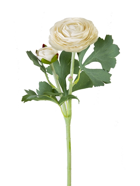Picture of 19" RANUNCULUS SPRAY