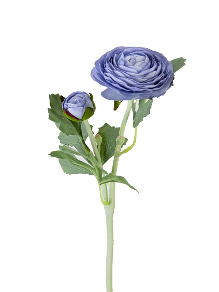 Picture of 19" RANUNCULUS SPRAY
