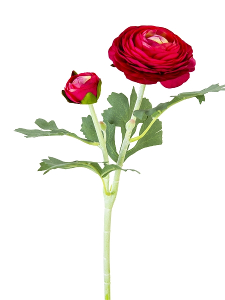 Picture of 19" RANUNCULUS SPRAY