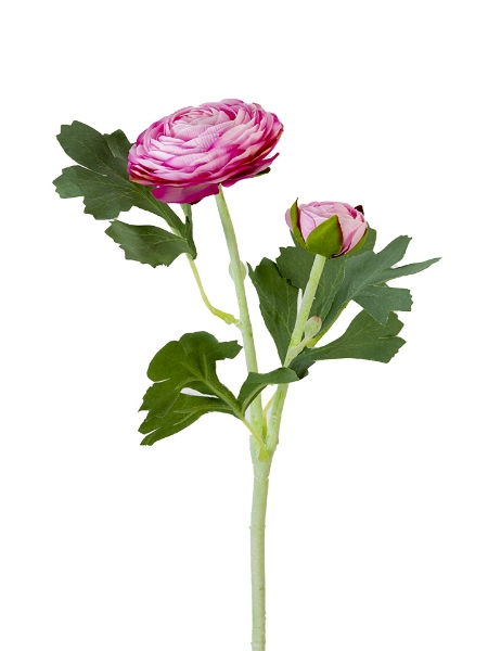 Picture of 19" RANUNCULUS SPRAY