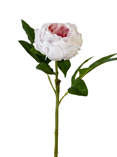 Picture of 23" REAL TOUCH PEONY SPRAY