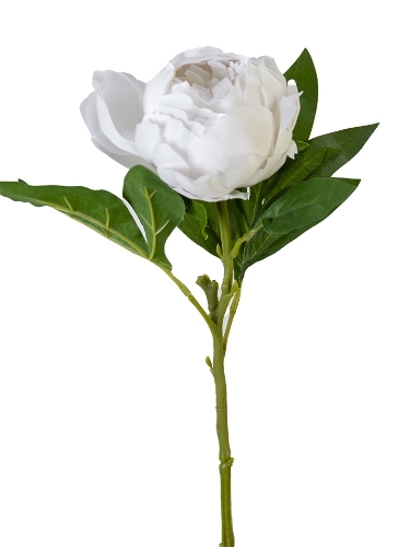 Picture of 23" REAL TOUCH PEONY SPRAY