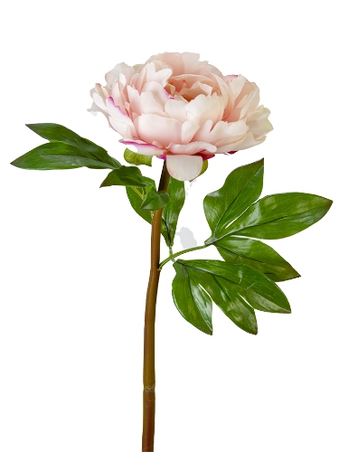 Picture of 23" UV PROTECTED PEONY