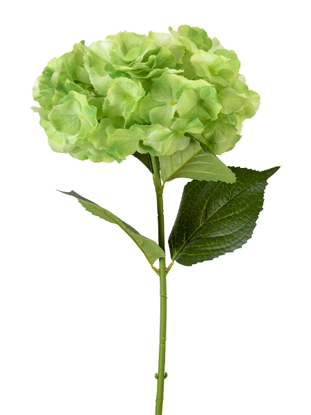 Picture of 29" REAL TOUCH HYDRANGEA STEM