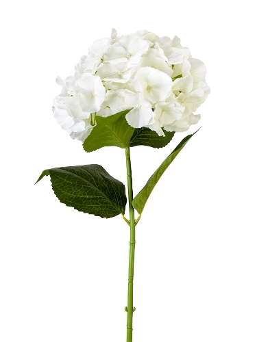 Picture of 29" REAL TOUCH HYDRANGEA STEM