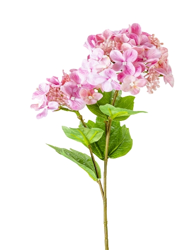 Picture of 19" HYDRANGEA SEED SPRAY