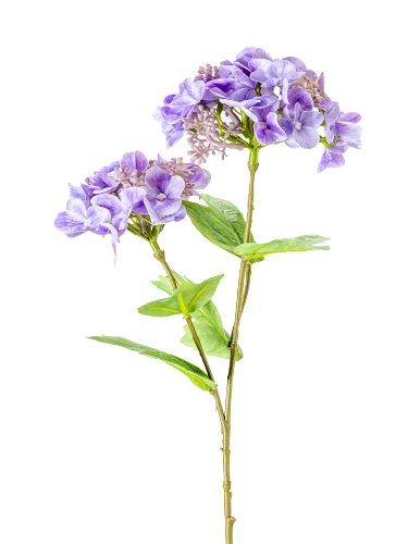 Picture of 19" HYDRANGEA SEED SPRAY