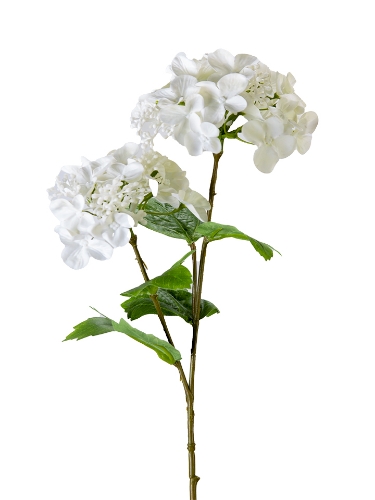 Picture of 19" HYDRANGEA SEED SPRAY