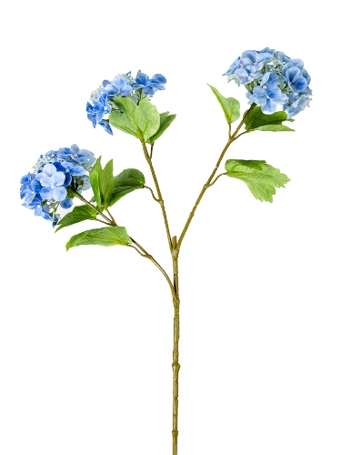 Picture of 33" HYDRANGEA SEED SPRAY