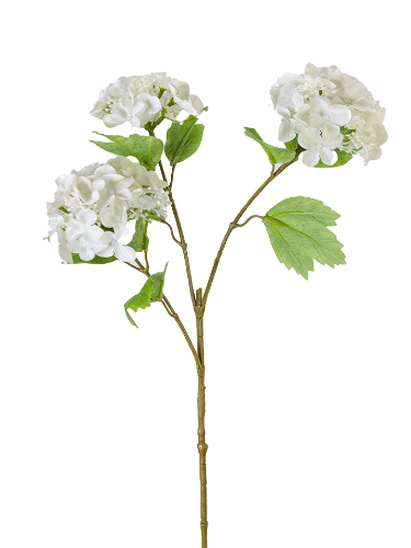 Picture of 33" HYDRANGEA SEED SPRAY