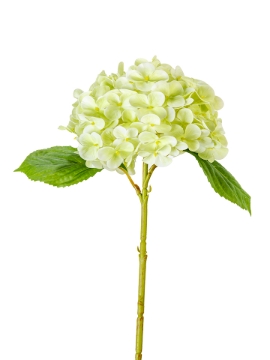 Picture of 17" HYDRANGEA SPRAY