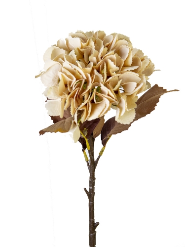 Picture of 19" HYDRANGEA STEM