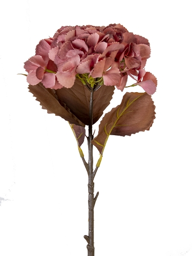Picture of 19" HYDRANGEA STEM