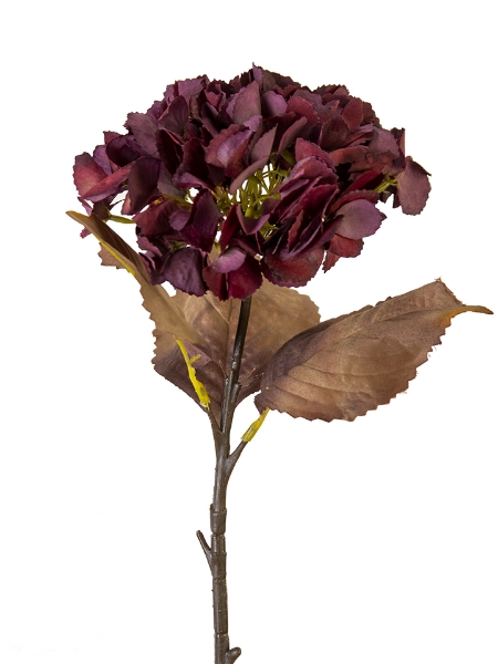 Picture of 19" HYDRANGEA STEM