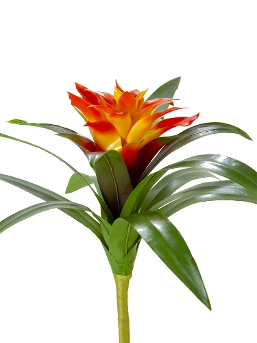 Picture of 22" UV PROTECTED BROMELIAD