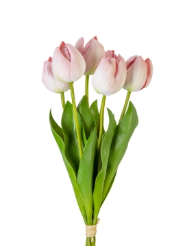 Picture of 14" UV PROTECTED TULIP BUNDLE