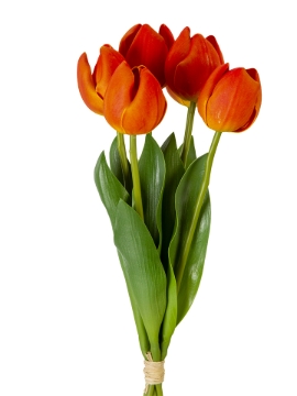 Picture of 14" UV PROTECTED TULIP BUNDLE