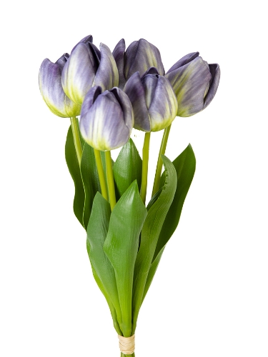 Picture of 14" UV PROTECTED TULIP BUNDLE