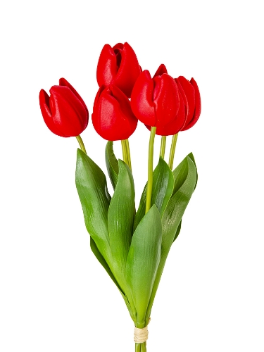 Picture of 14" UV PROTECTED TULIP BUNDLE