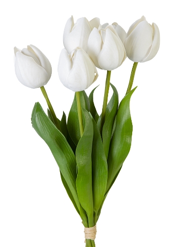 Picture of 14" UV PROTECTED TULIP BUNDLE