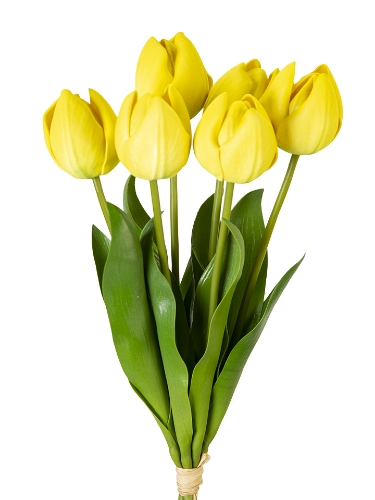 Picture of 14" UV PROTECTED TULIP BUNDLE