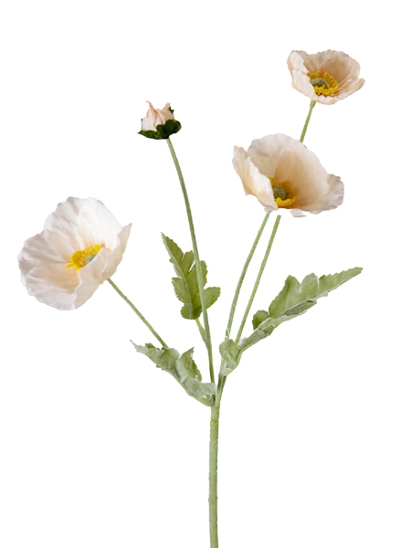 Picture of 25" REAL TOUCH  POPPY SPRAY