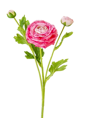 Picture of 19" REAL TOUCH RANUNCULUS SPRAY