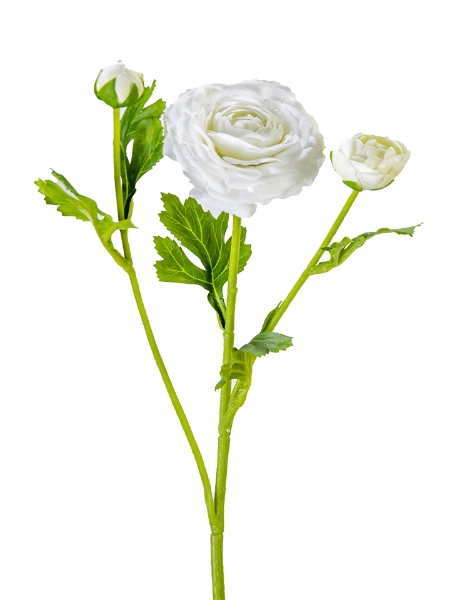 Picture of 19" REAL TOUCH RANUNCULUS SPRAY