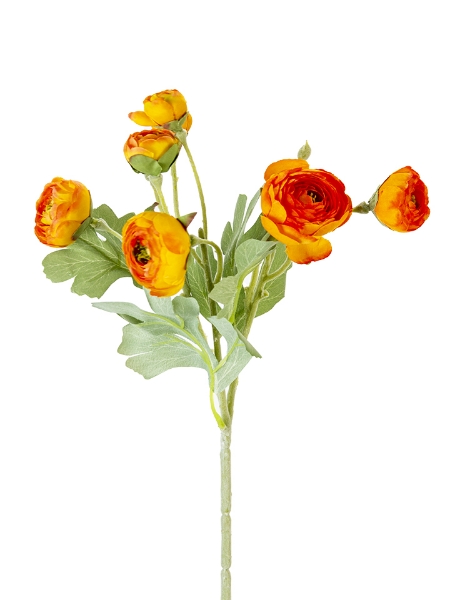 Picture of 19" RANUNCULUS SPRAY